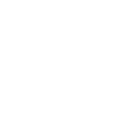 electric pinata logo inversed